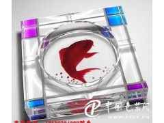 玻璃壁畫(huà)數(shù)碼印花設(shè)備的革新與應(yīng)用 從平板打印機(jī)到4D寫(xiě)真機(jī)